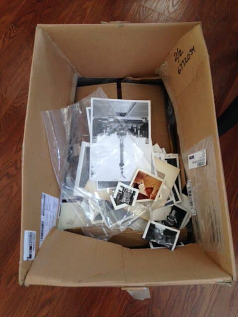 Bog Organize Photos purge