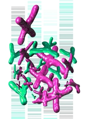 ID-DNA green purple