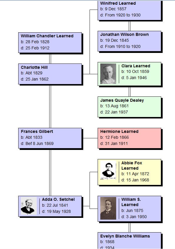 LearnedTree