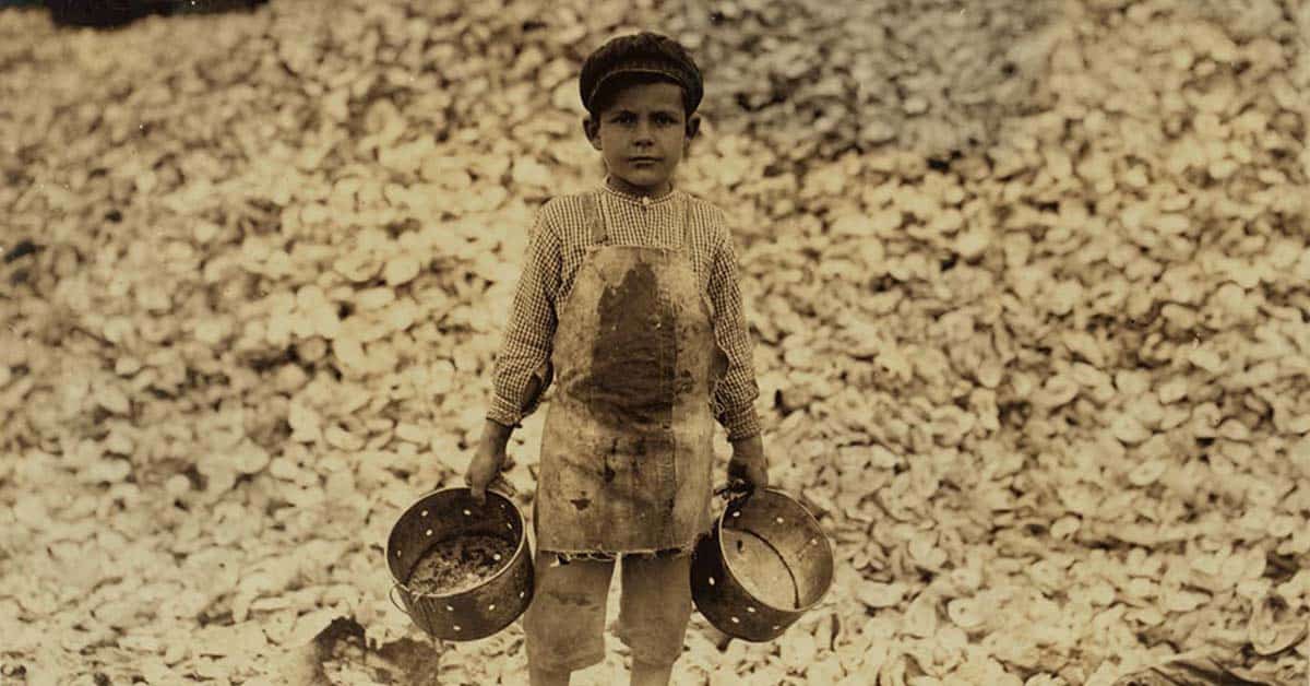 Oyster shucker