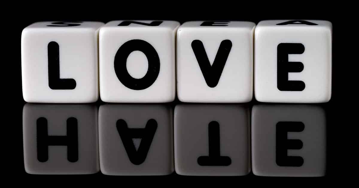 A Genealogist's Love/Hate Relationships with Wikipedia