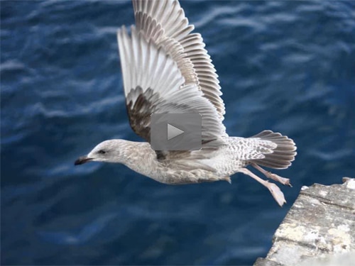 2020-10-27-image500blog