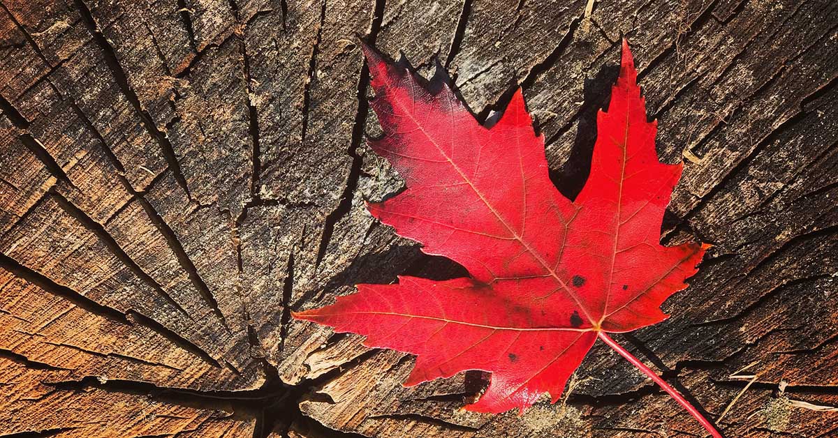 3 Resources for Canadian Genealogy Research