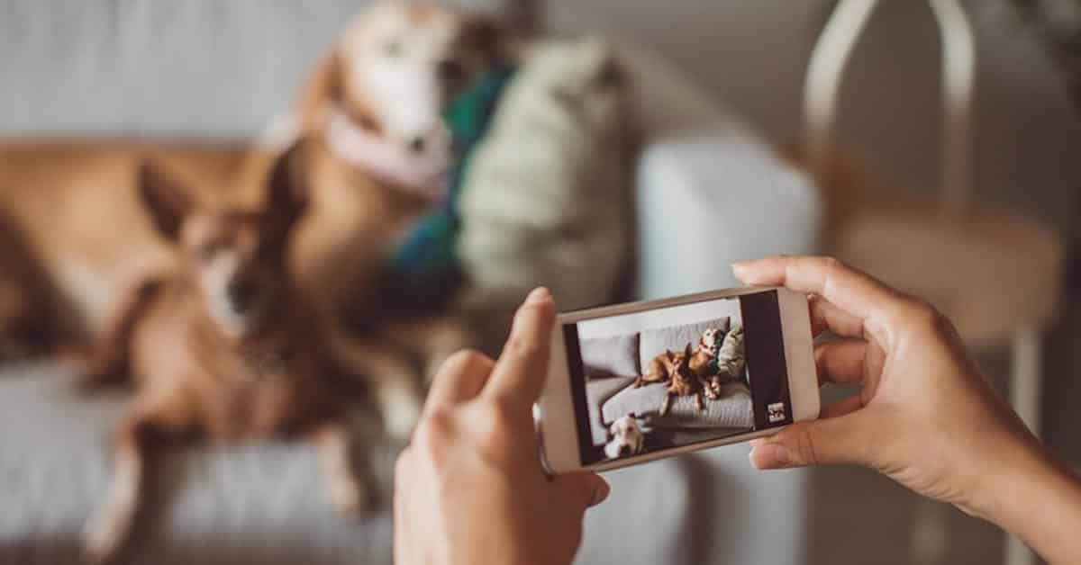 How Many Photos are on Your Phone? How Many Photos are on Your Phone?