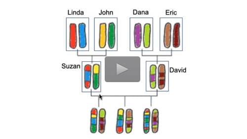 2022-11-08-image500blog 2022-11-08-image500blog