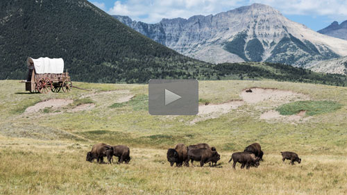 2022-12-16-image500blog