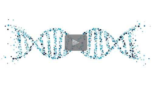 New Webinar Short: Excel Tips for DNA Analysis: How to Make a DNA Citation Template by Paul Woodbury, MEd., AG