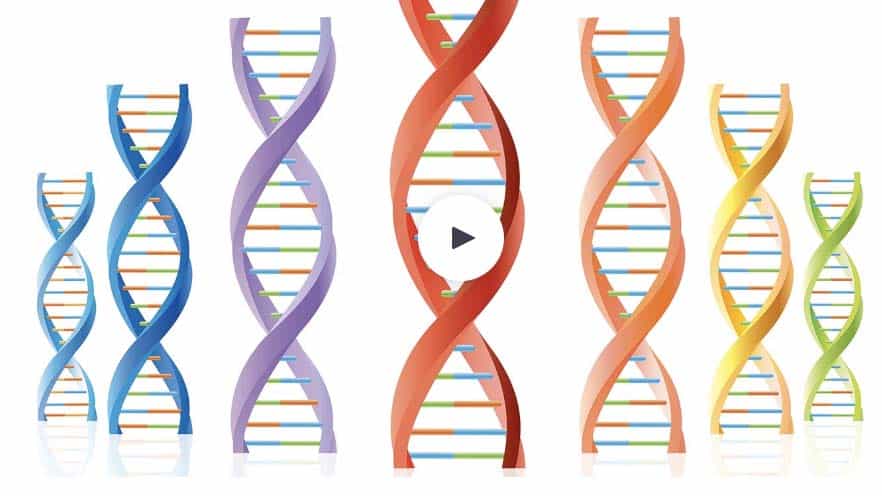 The Power of Siblings – the DNA Tests of Five Brothers—free replay of today's webinar by Donna Rutherford now available for limited time